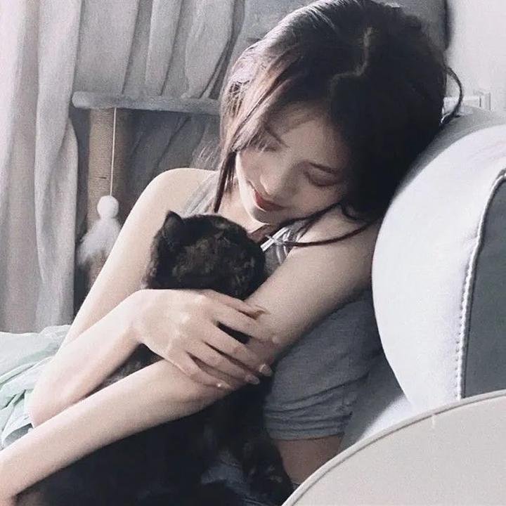 碧血盐枭粤语
