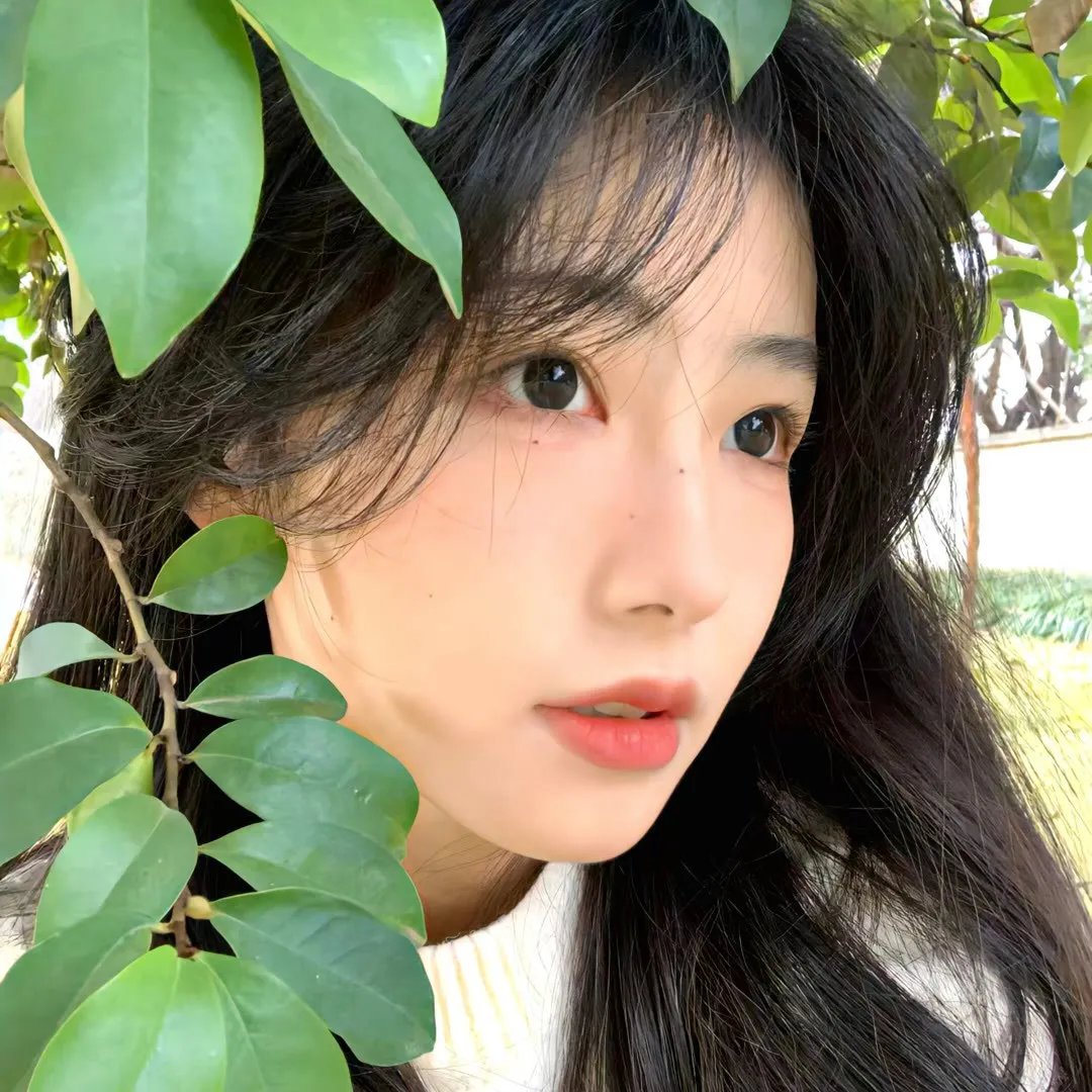 誓约归隐